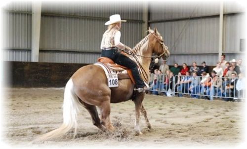 LK2/1 Reining All Ages, 16 Starter, 1. Platz